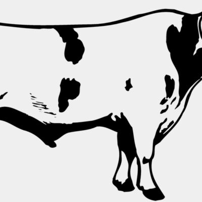 COW020 Thumbnail