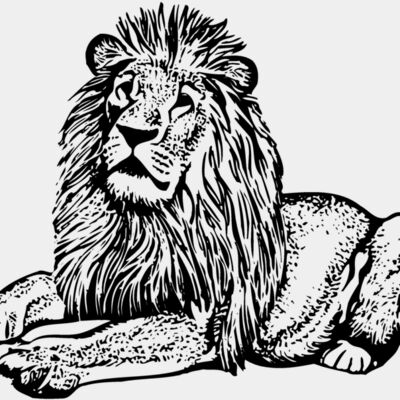 LION004 Thumbnail