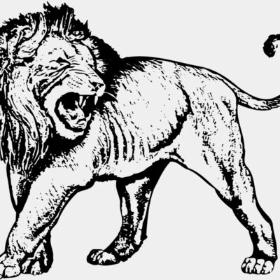 LION007 Thumbnail