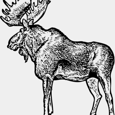 MOOSE004 Thumbnail