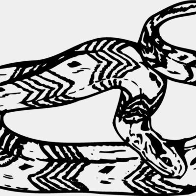 SNAKE002 Thumbnail