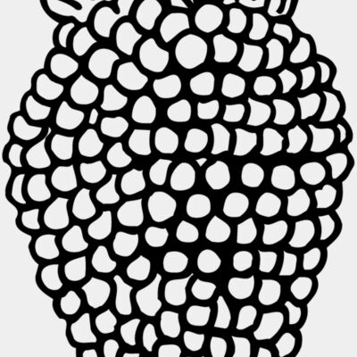 FRUIT003 Thumbnail
