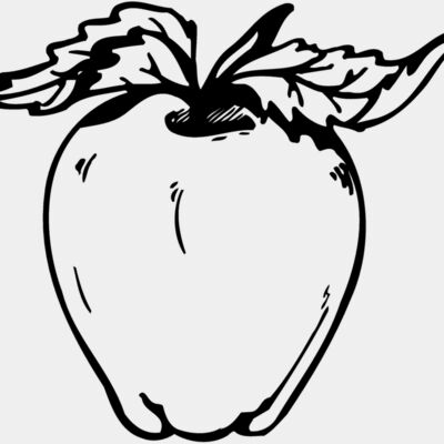 FRUIT021 Thumbnail