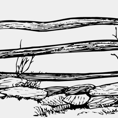 F0001 Thumbnail