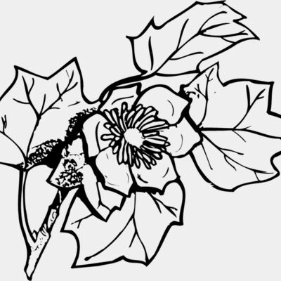 FLOWER09 Thumbnail