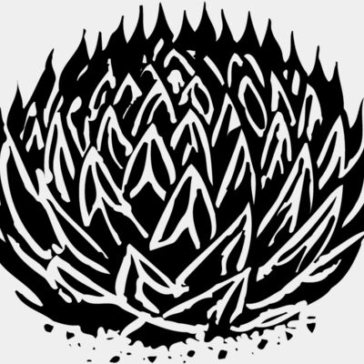 Cactus Thumbnail